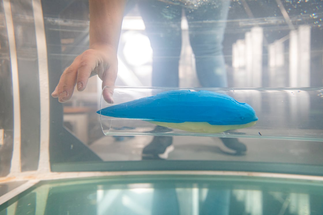 20230825_Marine Mammal Turbine Research_144