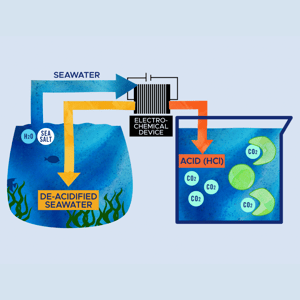 Illustration showing marine carbon dioxide removal. Seawater on the left containing H2O and sea salt molecules enter an electrochemical device in the middle. De-acidified seawater leaves the device and goes back into the ocean. Acid containing HCl leaves the device and goes into a beaker on the right that contains seawater and microalgae. CO2 molecules form in the beaker. The microalgae eat the CO2 molecules and grow quickly.
