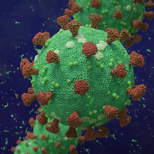 Image of a Covid viral particle