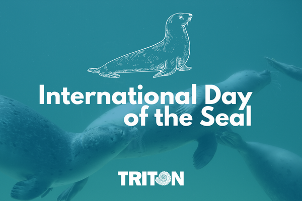 Day of the seal graphic