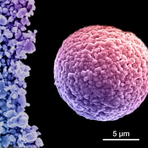 Image of single-crystal versus polycrystal structures for cathode materials