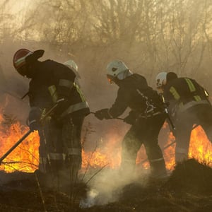 Photo of wildland firefighters