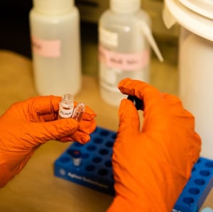 Photograph shows gloved hands handling vials in a laboratory