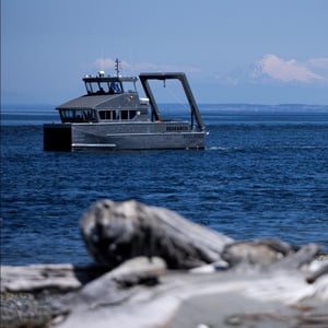 Photograph shows a silver boat floating in the ocean. In the background there's a blue sky, clouds, and a snow-topped mountain. In the foreground there's a beach covered in logs.