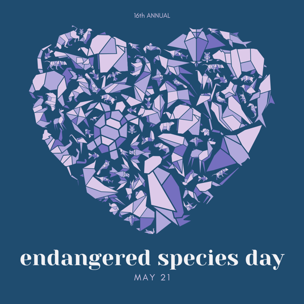 Pale Pink Purple  Blue World Wildlife Day Instagram Post