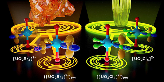 ProbingEquatorialStructure