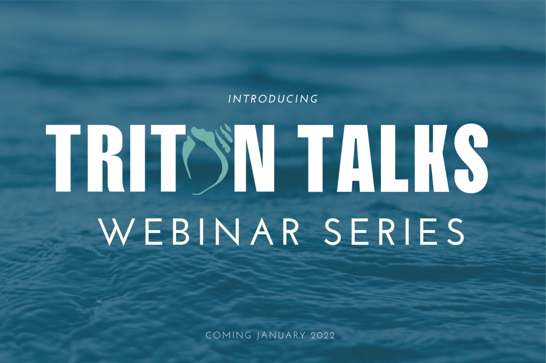 Triton Webinar Series (600 x 399 px)