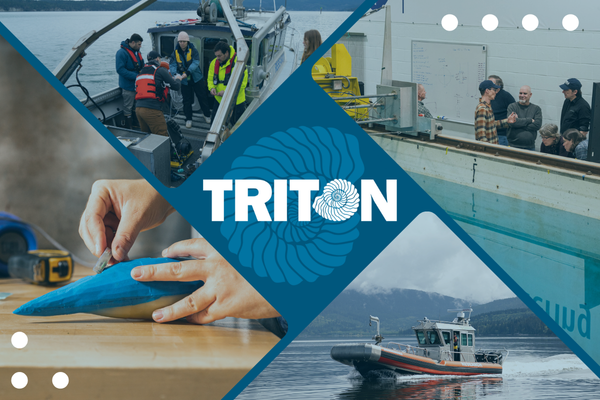 Triton-Newsletter-FY25Projects-Graphic