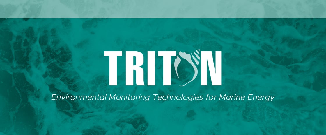 EED_1159_WEB_TritonInitiativeHeader-02-1