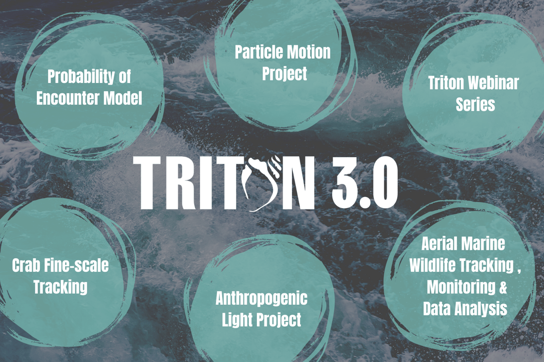 Triton3.0_updated