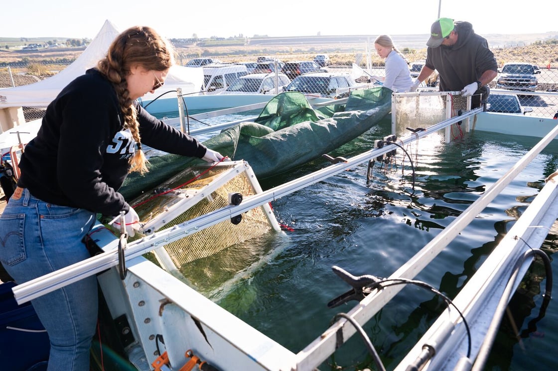 Web Size-Triton_AcousticTest-3