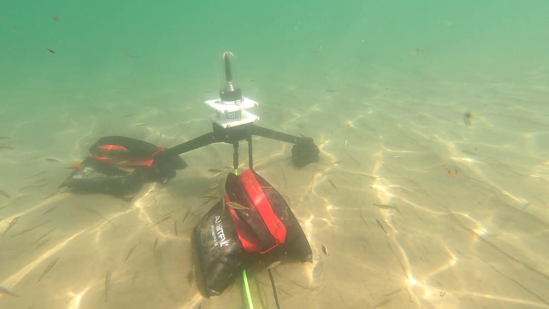 hydrophone_IGG2